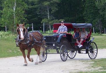 Wagon Rides