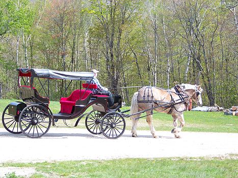 Carriage Rides