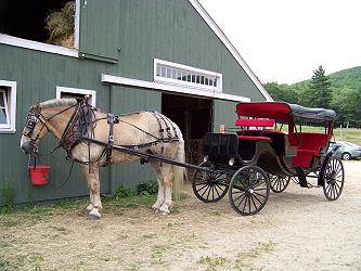 Carriage Rides